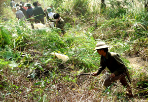 Người dân xã Cun Pheo (Mai Châu) tu sửa đường băng cản lửa để phòng cháy - chữa cháy rừng.

